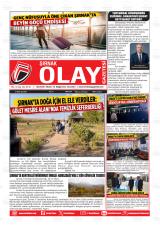 ŞIRNAK OLAY