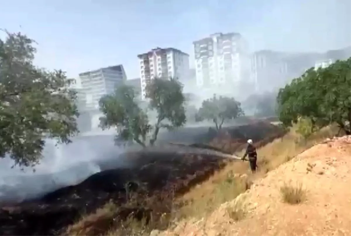 Kahramanmaraş.Onikişubat’ta ilçesinde çıkan yangın itfaiye ekiplerince söndürüldü, birçok zeytin ağacı zarar gördü.